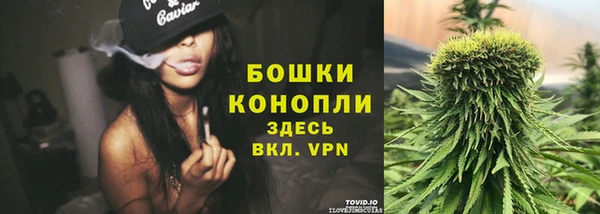 стафф Белокуриха
