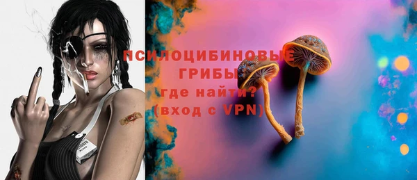 стафф Белокуриха