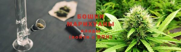стафф Белокуриха