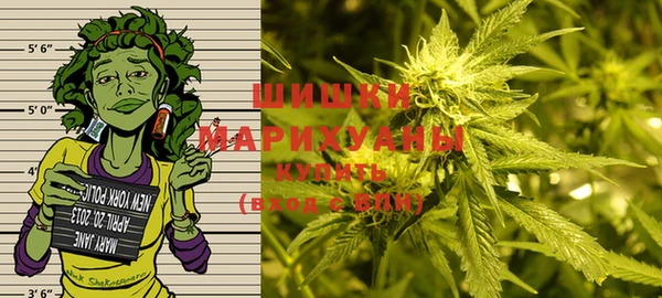 стафф Белокуриха
