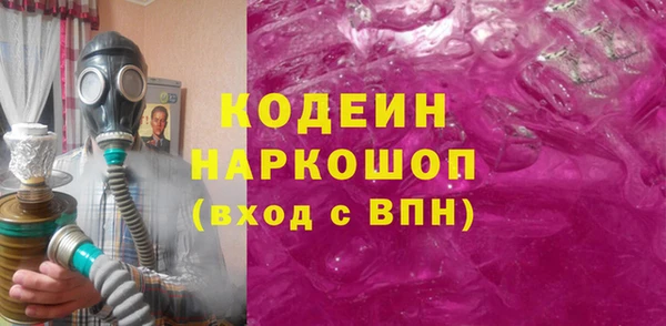 бошки Краснослободск