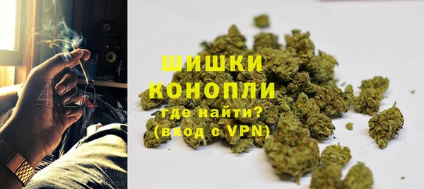 стаф Беломорск